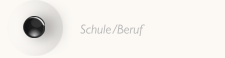 Schule/Beruf