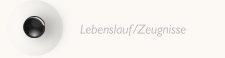 Lebenslauf/Zeugnisse